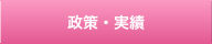 政策・実績